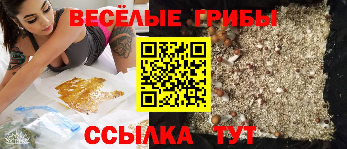 Псилоцибиновые грибы ЛСД  Вход с VPN  Сосновый Бор 