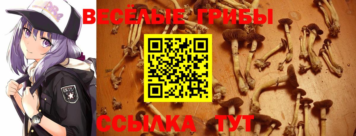 Галлюциногенные грибы мухоморы Сосновый Бор